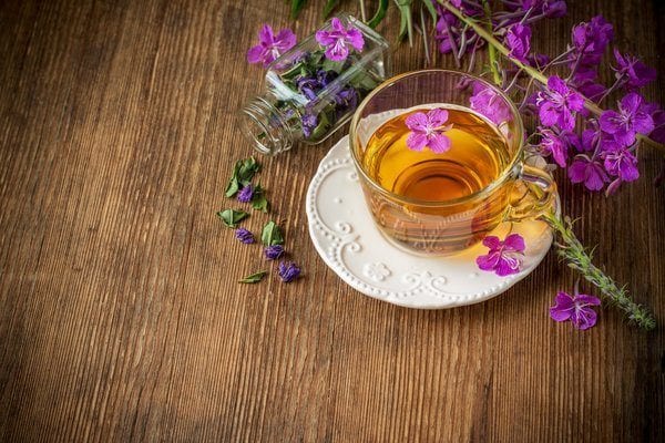 blooming Sally, collected and dried brewing herbal tea useful scattered