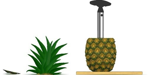 ananas.Schneider.final