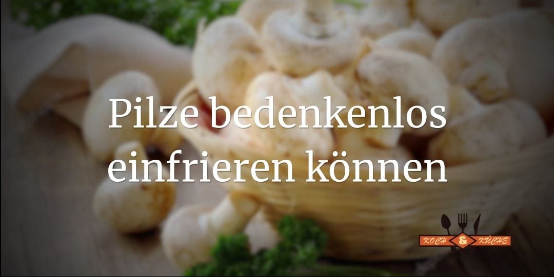 ᐅ Pilze einfrieren – Das ganze Jahr über leckere Pilze